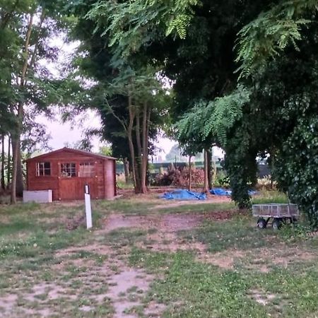 Casetta Di Laura بيزا المظهر الخارجي الصورة