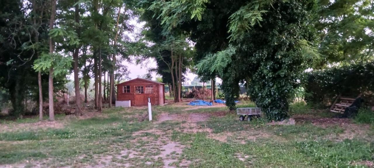 Casetta Di Laura بيزا المظهر الخارجي الصورة